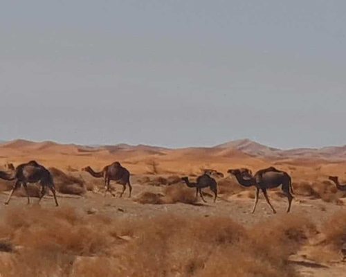 Maitre de mon destin